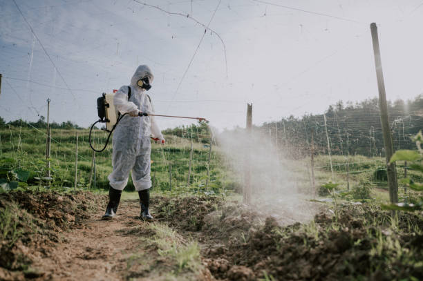 Best Pest Control Cost  in Burlington, ND