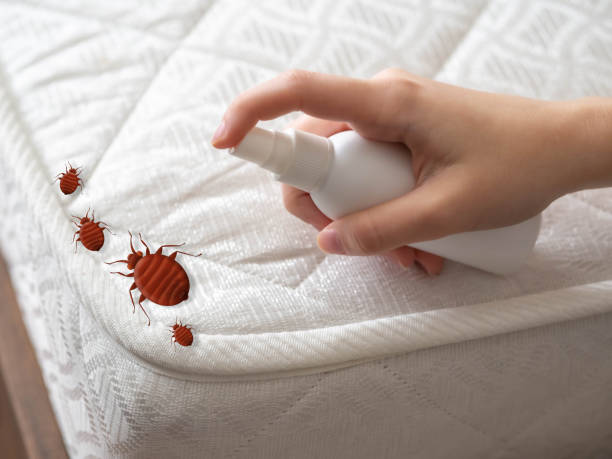 Best Emergency Pest Control  in Burlington, ND