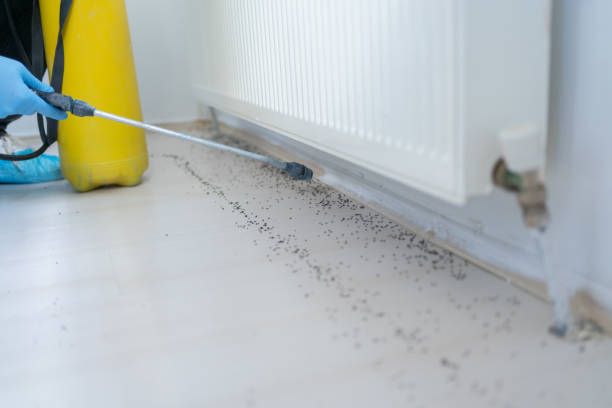 Best Best Pest Control Companies  in Burlington, ND