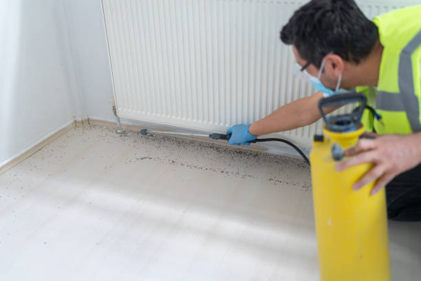  Burlington, ND Pest Control Pros