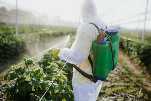 Best Wildlife Control Services  in Burlington, ND